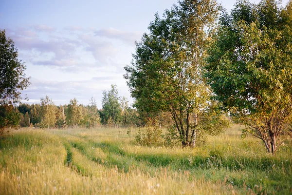 Frühling Sommer Hintergrund - ländliche Straße im grünen Gras Wiese — Stockfoto