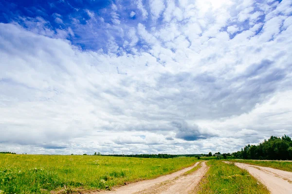 Bahar Yaz arka plan - yeşil çim alan meado içinde kırsal yol — Stok fotoğraf