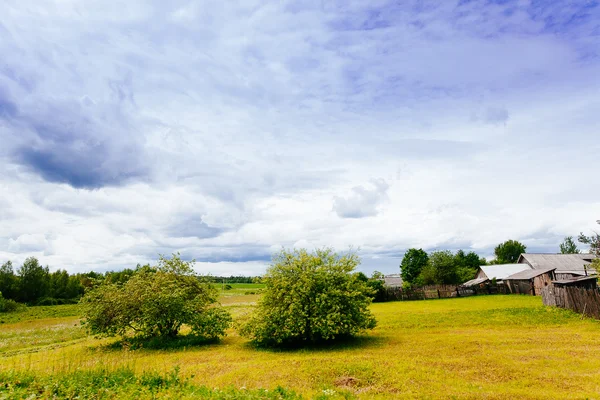 Primavera verano fondo - camino rural en campo de hierba verde meado —  Fotos de Stock