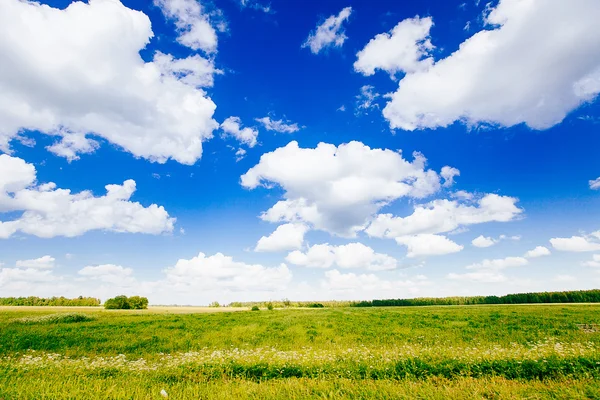 Primavera estate sfondo - strada rurale in erba verde campo meado — Foto Stock