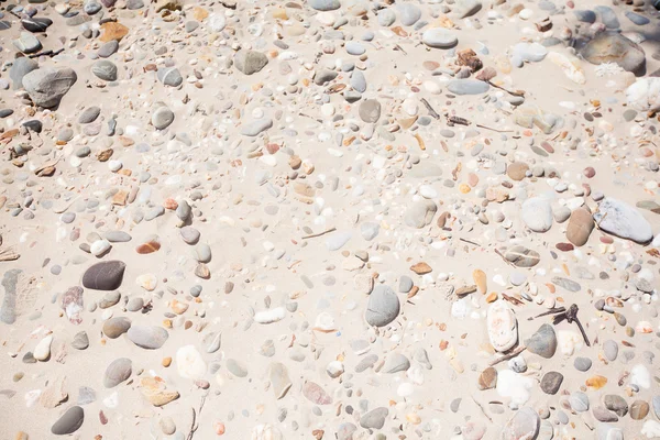 Närbild av rundade och polerade strandklippor — Stockfoto