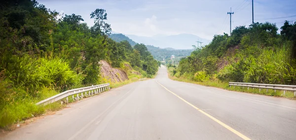 Pring summer background road in green forest scenery lanscape wi — Stock Photo, Image