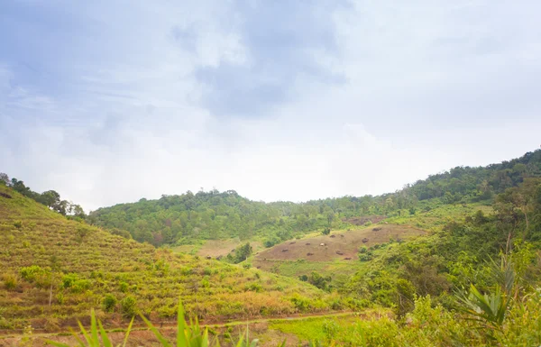 Village near Mae Hon Song, Tailândia — Fotografia de Stock