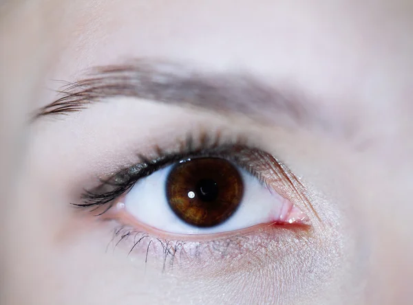 Hermoso ojo marrón de la mujer de cerca —  Fotos de Stock