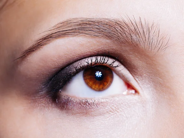 Beautiful woman 's brown eye close up — стоковое фото
