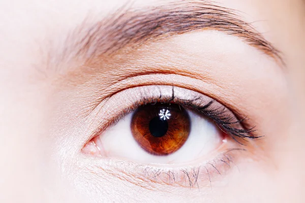 Красиве жіноче коричневе око крупним планом — стокове фото