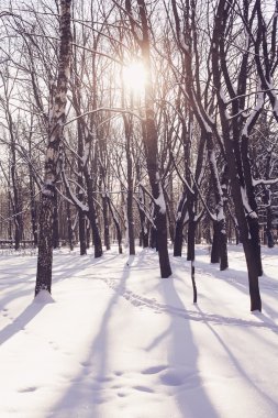 Kar altında kış parkı