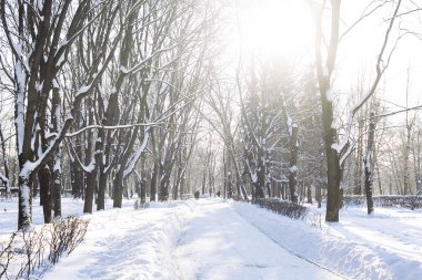 Kar altında kış parkı