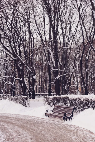 Winter park in snow — Stock Photo, Image