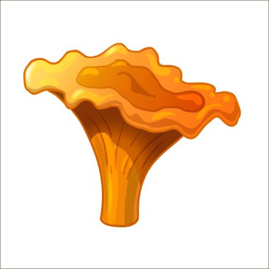 Beyaz arka planda izole edilmiş çizgi film renkli mantar. Chanterelle. Vektör çizimi. EPS 10. 