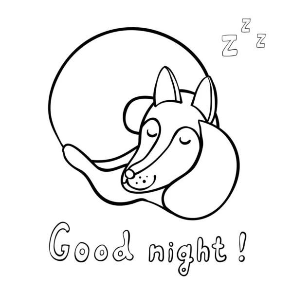 Desenhos Animados Bonitos Dormindo Raposa Isolada Fundo Branco Boa Noite — Vetor de Stock