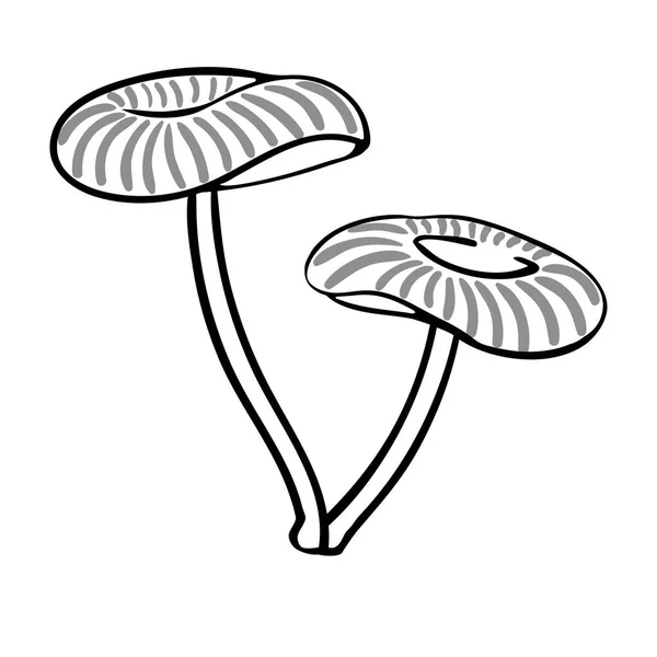 在白色背景上孤立的卡通形蘑菇 矢量图解 Eps — 图库矢量图片