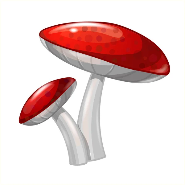 卡通色蘑菇在白色背景上被隔离 矢量图解 Eps — 图库矢量图片