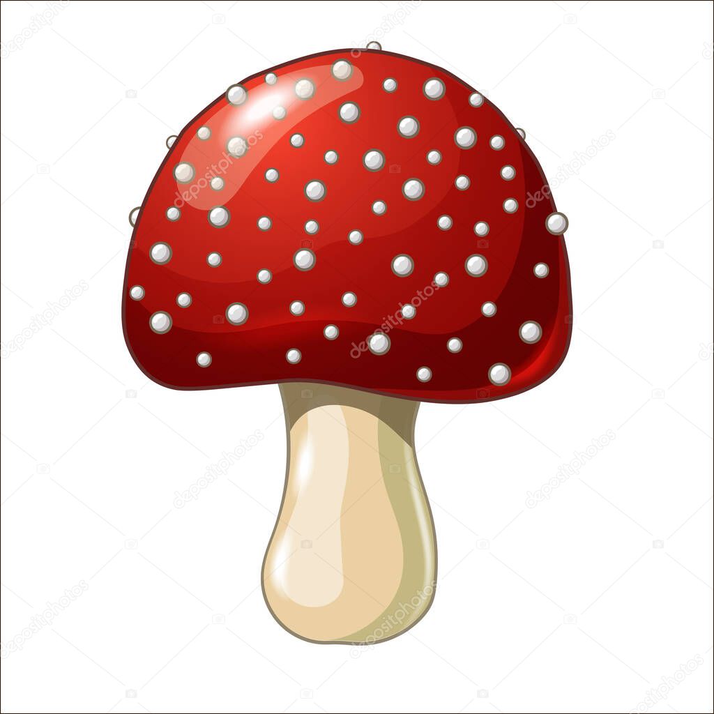 Cartoon coloured mushroom isolated on white background. Amanita. Fly-agaric. Vector illustration. EPS 10. 