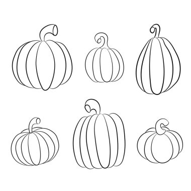 Balkabağı koleksiyonu, çeşitli tipler. Beyaz arkaplanda izole edilmiş arka vektör çizimleri