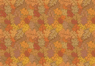 Sonbahar meşesi yapraklı, yatay doğal arka plan. Vektör illüstrasyonu.