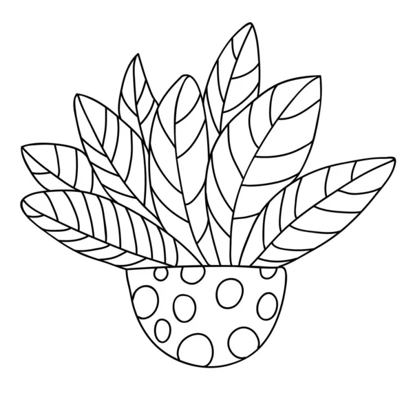 Симпатичное Мультяшное Растение Горшочке Точками Большие Красивые Листья Изолированный Белом — стоковый вектор