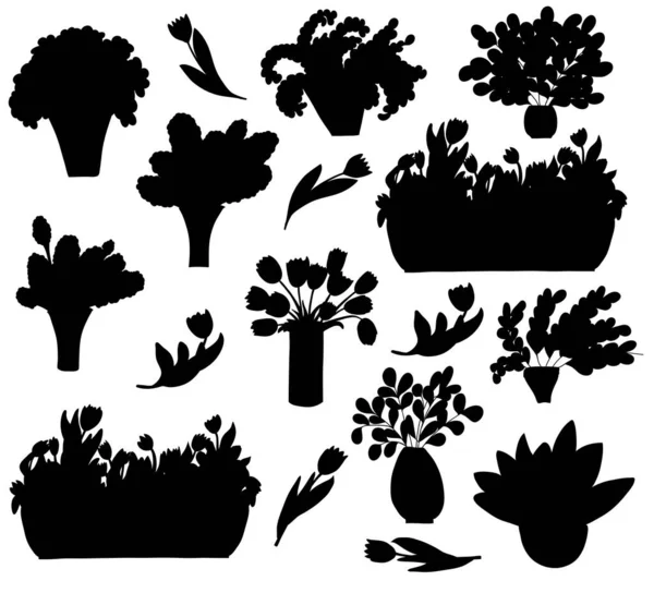 Conjunto Siluetas Plantas Dibujos Animados Macetas Jarrones Tulipán Lila Manzanilla — Vector de stock