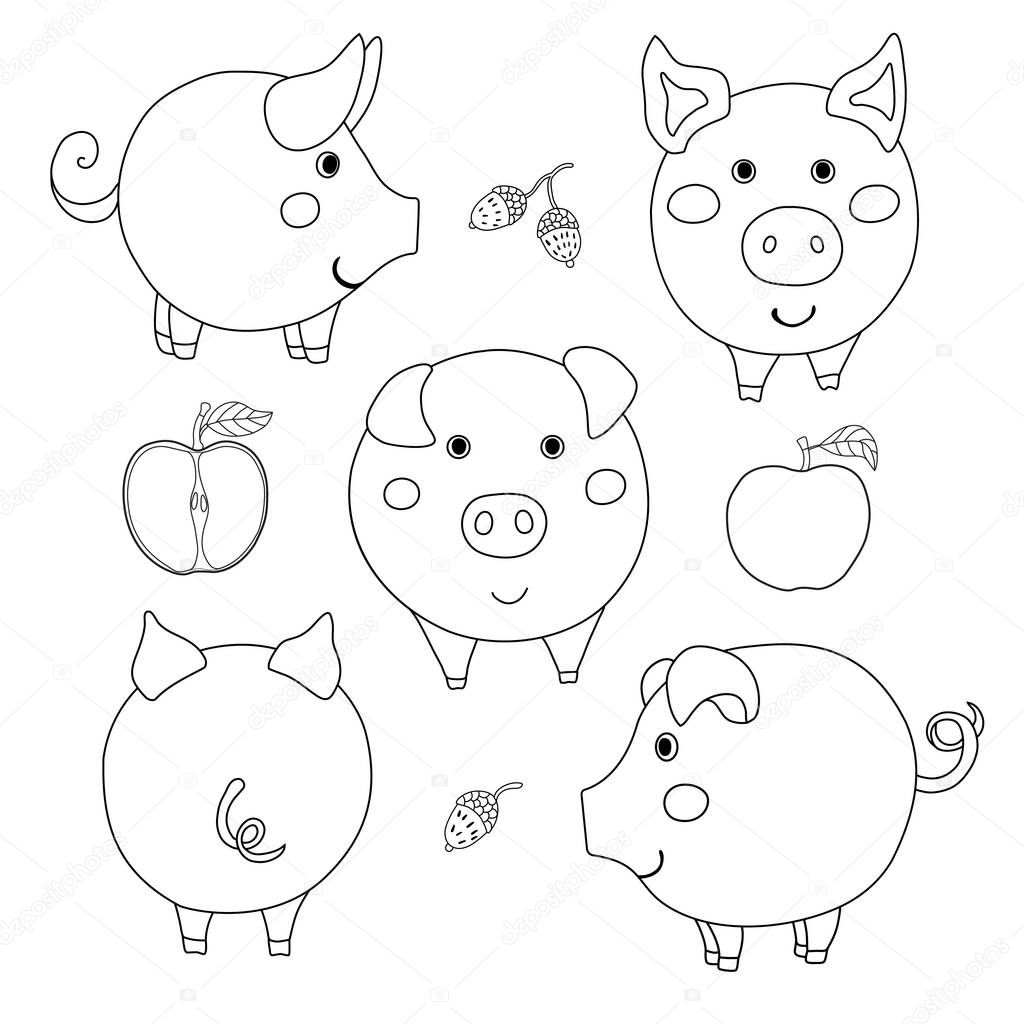 Set of cute cartoon contour pig: face, profile, back view. Sliced and whole apple. Acorn. Vector illustration isolated on white background.