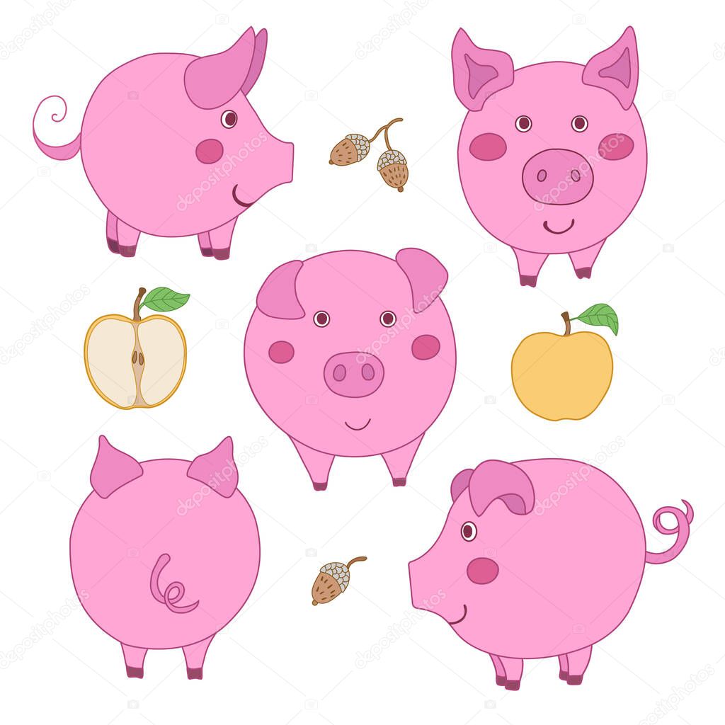 Set of cute cartoon pink pig: face, profile, back view. Sliced and whole apple. Acorn. Vector illustration isolated on white background.