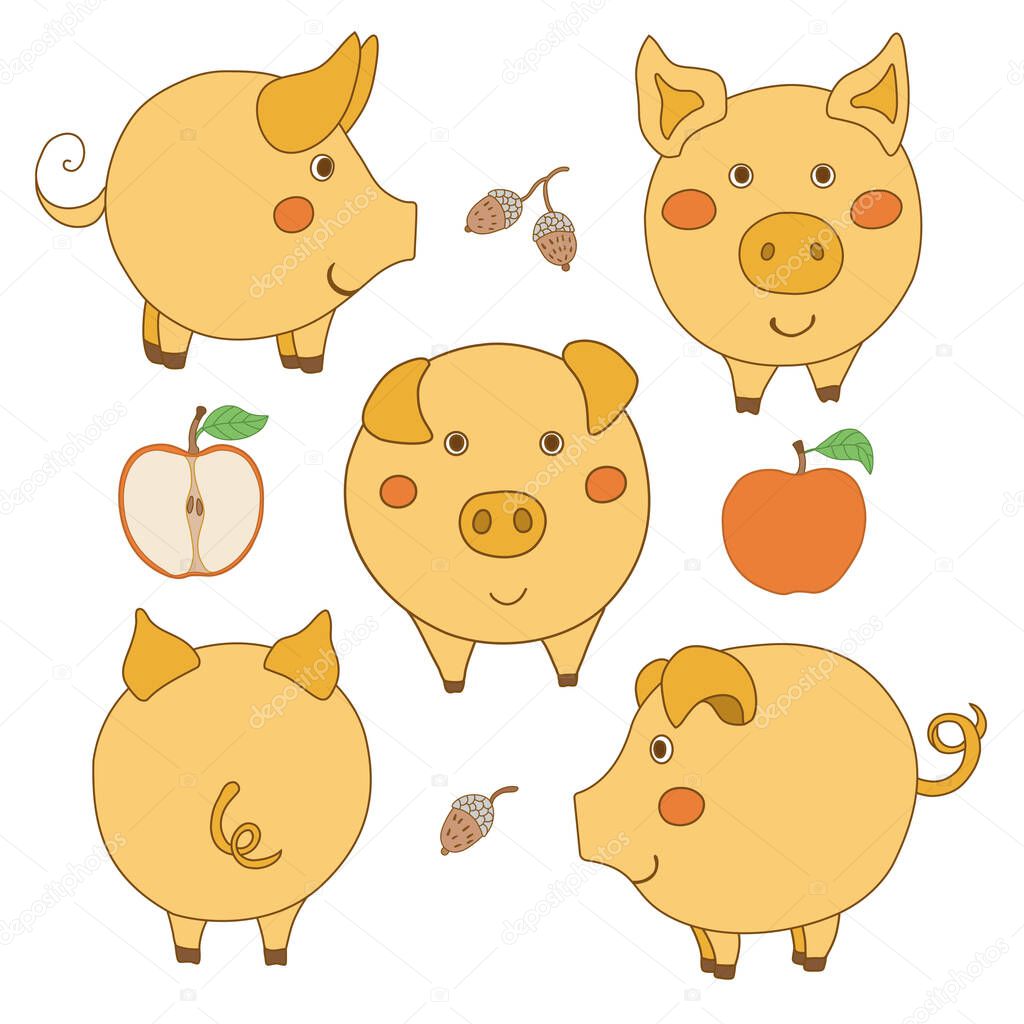 Set of cute cartoon yellow pig: face, profile, back view. Sliced and whole apple. Acorn. Vector illustration isolated on white background.