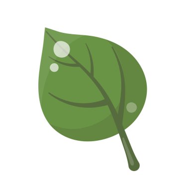 Linden yaprağı beyaz arkaplanda izole edilmiş. Vektör illüstrasyonu.