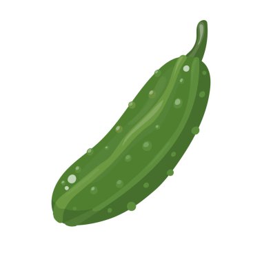 Tarım ve vejetaryen yemek temaları için beyaz arka planda izole edilmiş dikenli yeşil derili gevrek salatalık sebzeleri.