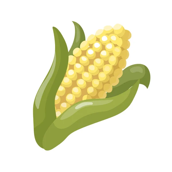 Cartoon Corn Isolated White Background Vector Illustration — Stock Vector