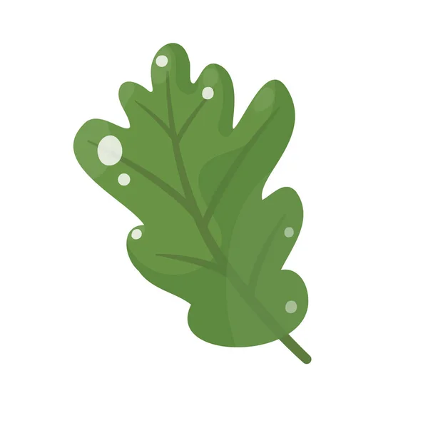 Green Oak Leaf Isolated White Background Vector Illustration — Stock Vector