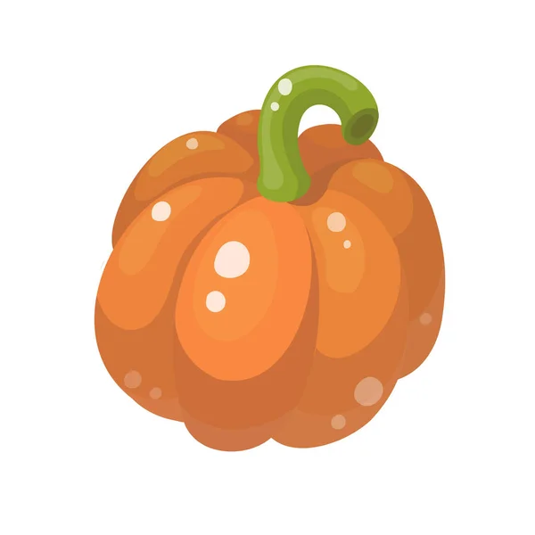 Cartoon Pumpkin Isolated White Backgroumd Vector Illustration — 스톡 벡터