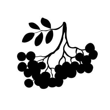 Beyaz arka planda yaprakları ve böğürtlen vektör illüstrasyonları olan Rowan dalı. Rowan sonbahar tasarımı. Kırmızı, orman meyveleri. Vektör nesneleri, simgeler, elementler. Siyah siluet.