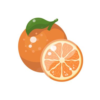 Yapraklı portakal meyvesi. Tam ve dilimle. Vektör illüstrasyonu beyazda izole edildi.