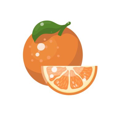 Yapraklı portakal meyvesi. Tam ve dilimle. Vektör illüstrasyonu beyazda izole edildi.