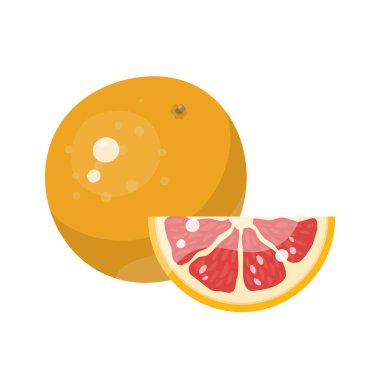 Vektör greyfurt. Tam ve dilimlenmiş. Beyaz arkaplanda izole