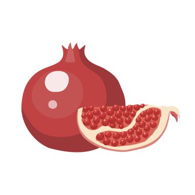 Vektör çizimi. Tam olgunlaşmış meyve kırmızısı nar, yarım dilimlenmiş garnet. Beyazda izole edilmiş