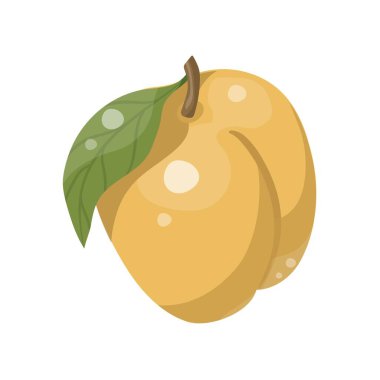 Kayısı izole vektör simgesi. Yapraklı meyve dalı. Meyve suyu veya reçel markalaştırma logosu.