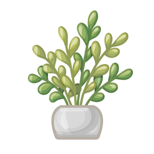 Cartoon green plant in striped pot. Euonymus. Vector illustration isolated on white background — Stock Vector