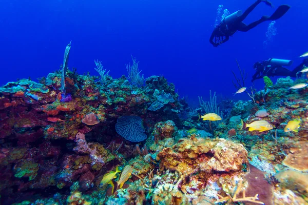 Colorfull reef and group of divers, Cayo Largo, Cuba — Stock Photo, Image
