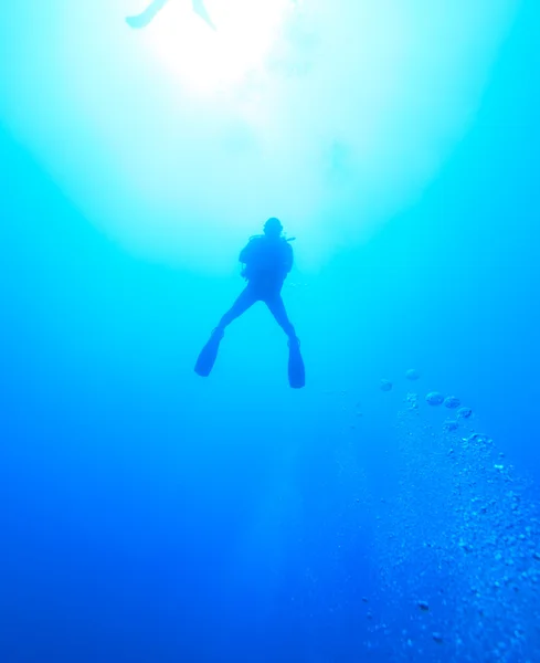 Silhouette del subacqueo — Foto Stock