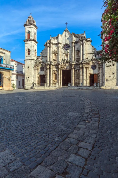 Katedra w Hawanie i pies, Kuba — Zdjęcie stockowe