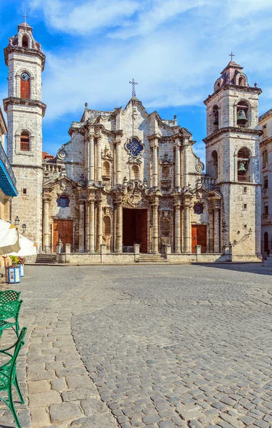 Catedral de Havana e Cão, Cuba — Fotografia de Stock