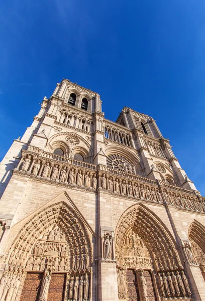 Cattedrale notre dame de paris — Foto Stock