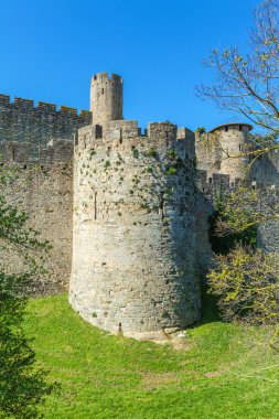Ortaçağ Kalesi, Carcassonne kuleleri