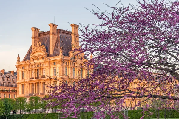 Tuileries zahrady na jaře, Paříž, Francie — Stock fotografie