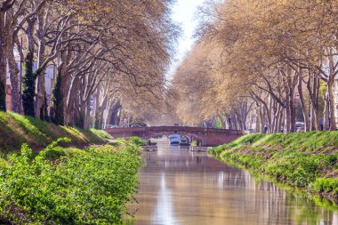 Canal de Brienne, Toulouse, France clipart
