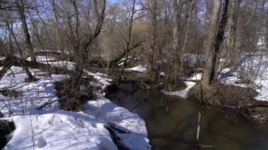 Snowy orman küçük nehir ile