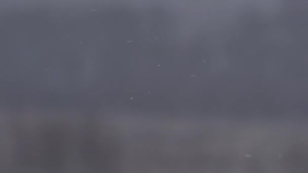 飘落的雪花模糊的冬天背景 — 图库视频影像
