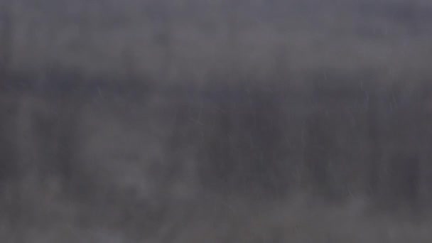 Fond d'hiver flou avec des flocons de neige tombants 