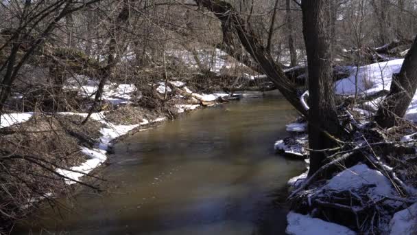 Forêt enneigée avec petite rivière 