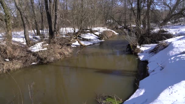 Forêt enneigée avec petite rivière 